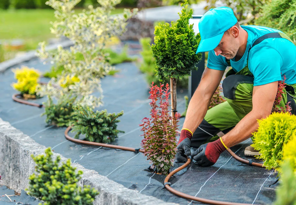 Landscaping in Vancouver
